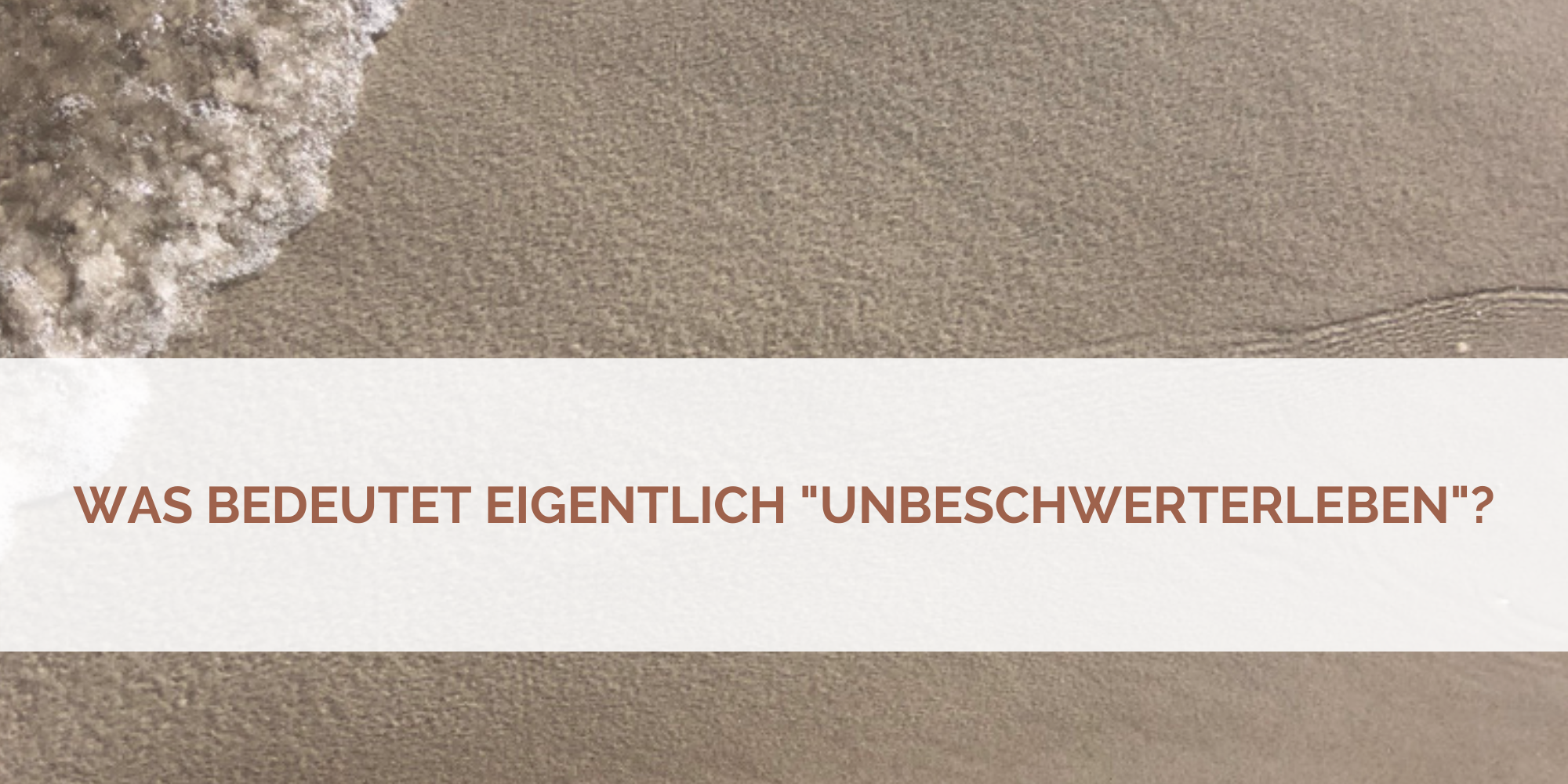 Kopie von Kopie von Flyer neu 2022 (40 × 20 cm)(5)